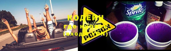 шишки Арсеньев