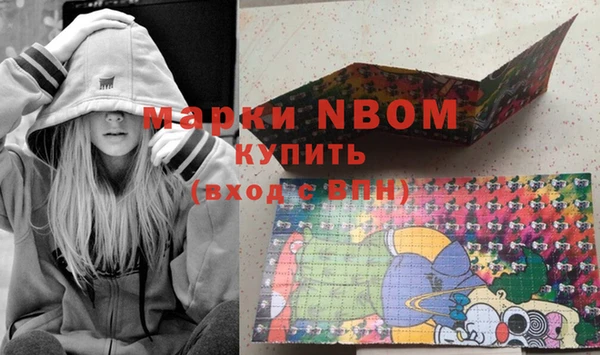 шишки Арсеньев