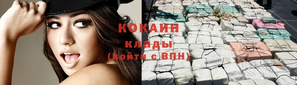 соль ск Новозыбков