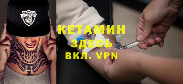 шишки Арсеньев