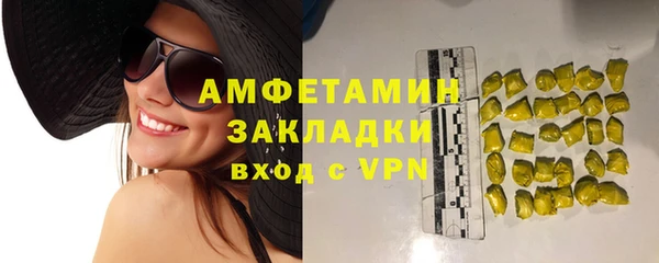 шишки Арсеньев