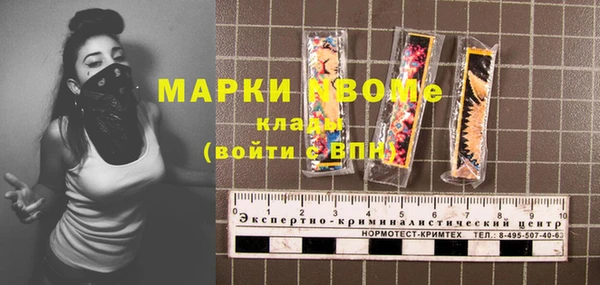 шишки Арсеньев