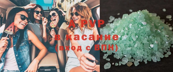 соль ск Новозыбков