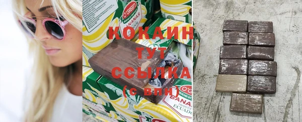 шишки Арсеньев