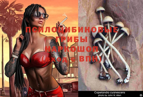 тгк Армянск