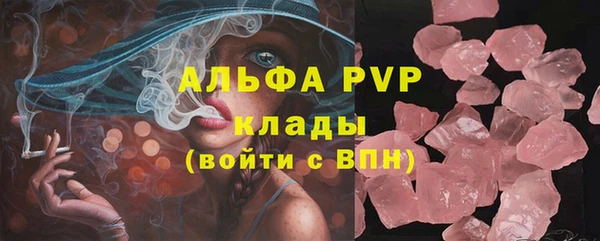 шишки Арсеньев