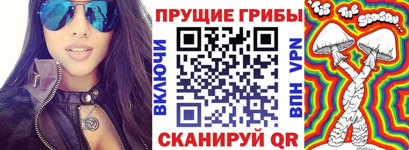 omg зеркало  Бакал  Галлюциногенные грибы ЛСД  дарнет шоп 